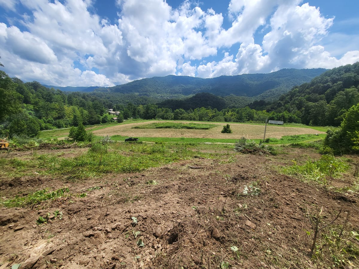 Clearing And Cleaning